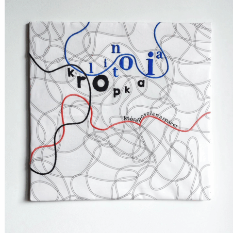 Chcesz wiedzieć więcej o hafcie, albo wziąć udział w moich warsztatach? Zapraszam Gosia Samborska